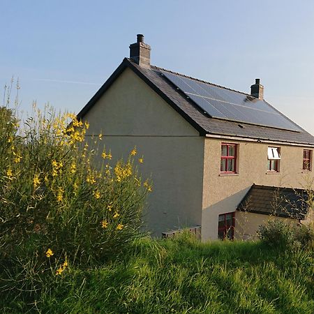 Treberfedd Farm Cottages And Cabins ランピター エクステリア 写真