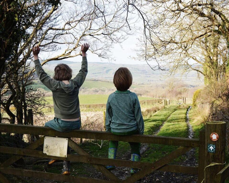 Treberfedd Farm Cottages And Cabins ランピター エクステリア 写真